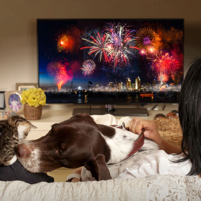 family watching fireworks with pets