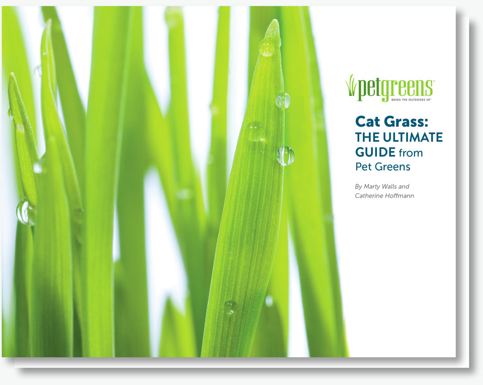 Catgrass EBook