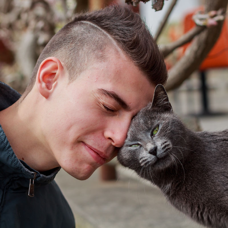 Young man sharing affection with his older cat